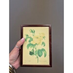 Vtg Graphic Art Tiles Wood Trinket Box Redoute Rosa Centifolia Botanical Rose